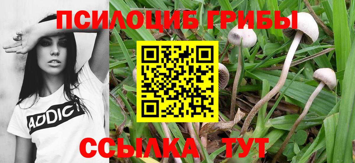 ГАШ  Лсд 25  Егорьевск  Гашиш  Каннабис  МАРИХУАНА  МЕФ   Вход с VPN  Мефедрон  MDMA 
