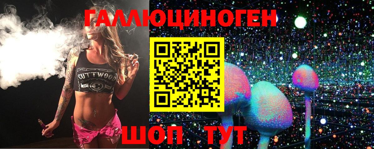 Псилоцибиновые грибы мицелий Егорьевск
