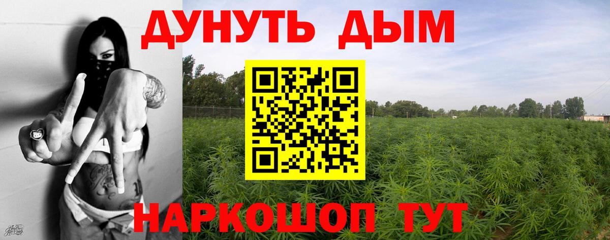 МАРИХУАНА сатива Егорьевск